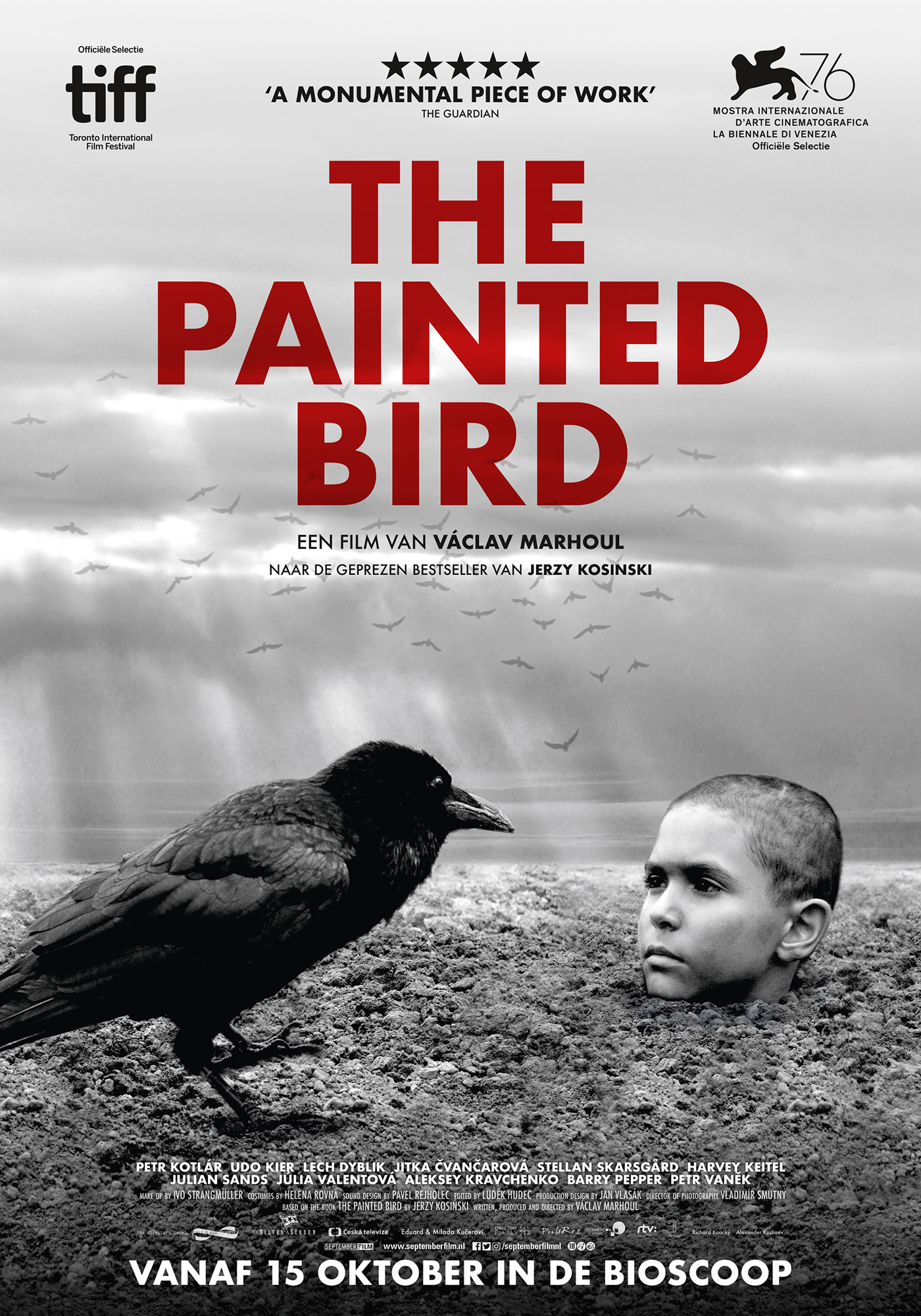 Раскрашенная птица 2019. Раскрашенная птица фильм. The painted Bird 2019. Раскрашенная птица фильм 2019 отзывы.