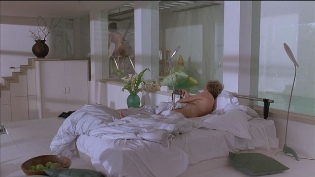 Голая Кэтрин Зета-Джонс - Перепутанные наследники (1993)