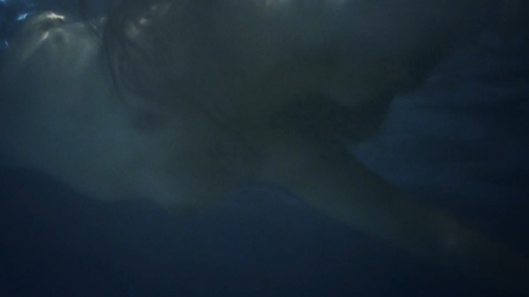 Голая Алиссон Герреро - Девушка из озера (2021)